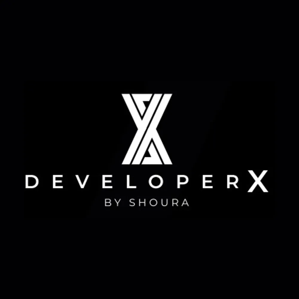 Developer X