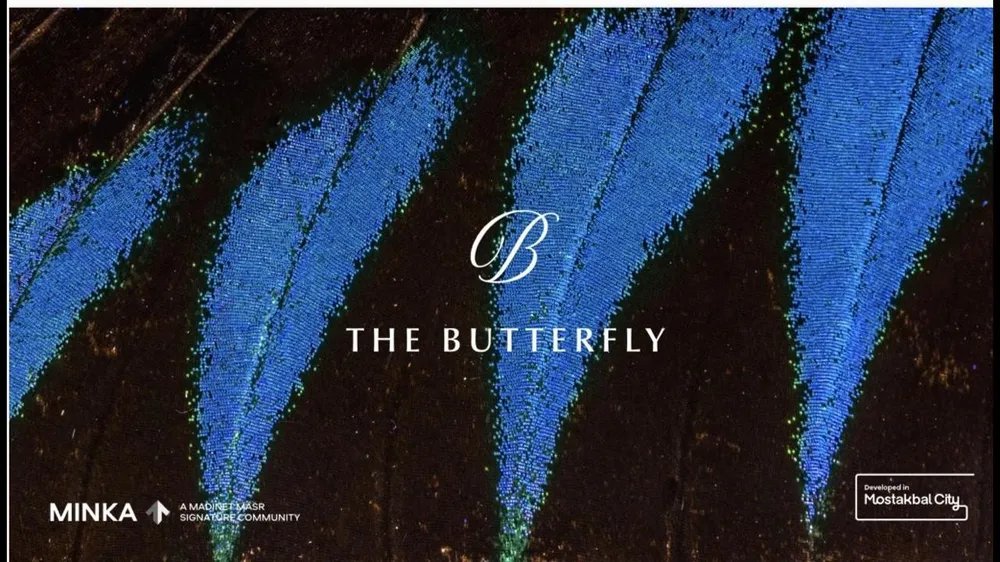 The Butterfly - mnhd  gallery 2
